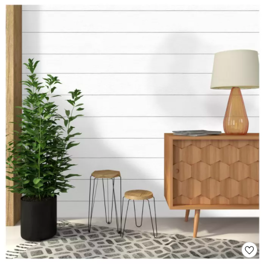 A pot plant and wooden furniture in front of a white shiplap wall.